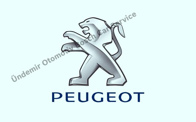 Bursa Nilüfer Peugeot Servisi
