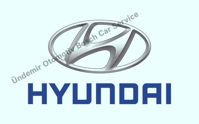 Bursa Nilüfer Hyundai Servisi